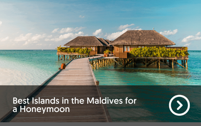 Maldives blog