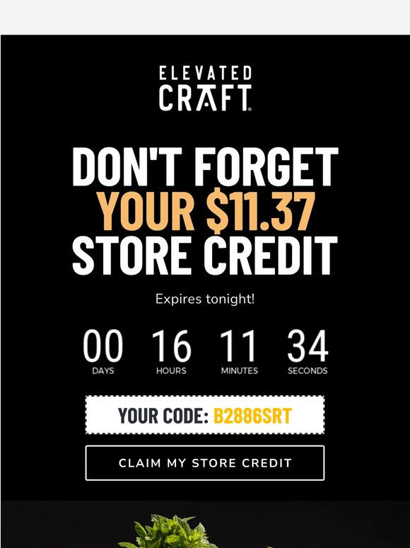 Your store credit expires tonight!