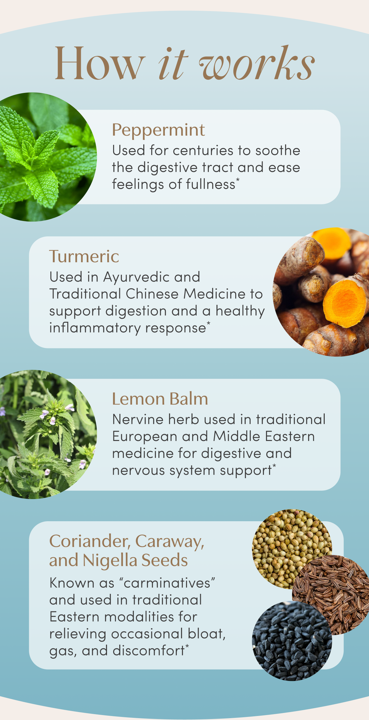 How it works | Peppermint - Used for centuries to soothe the digestive tract and ease feelings of fullness* | Turmeric - Used in Ayurvedic and Traditional Chinese Medicine to support digestion and a healthy inflammatory response* | Lemon Balm - Nervine herb used in traditional European and Middle Eastern medicine for digestive and nervous system support* | Coriander, Caraway, and Nigella Seeds - Known as carminatives and used in traditional Eastern modalities for relieving occasional bloat, gas, and discomfort*