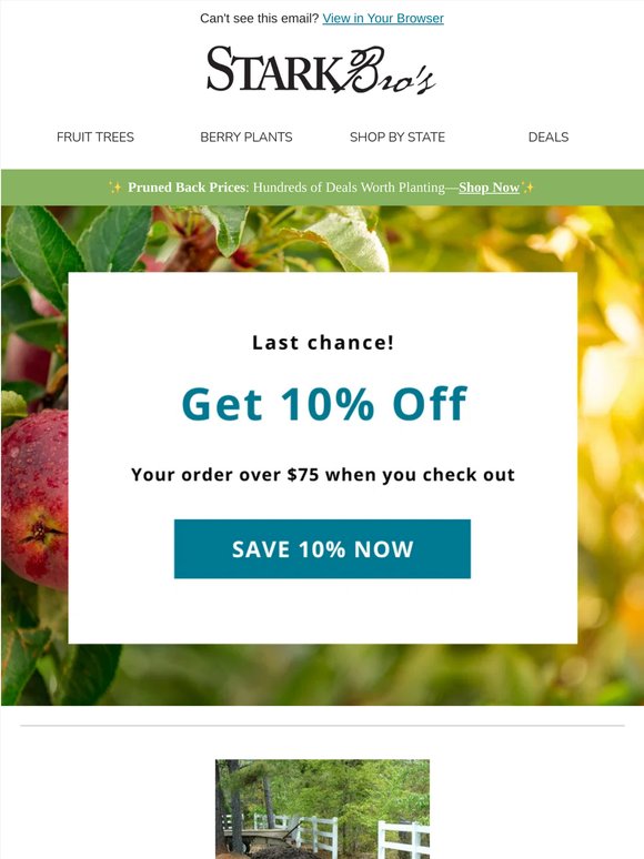Last Chance: use your 10% off before it expires!