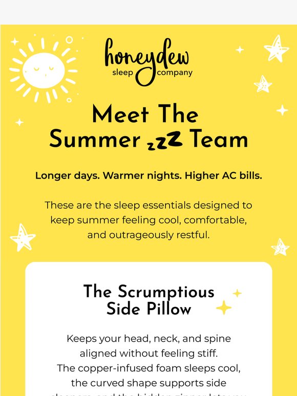 Meet The Summer Zzz Team 💤