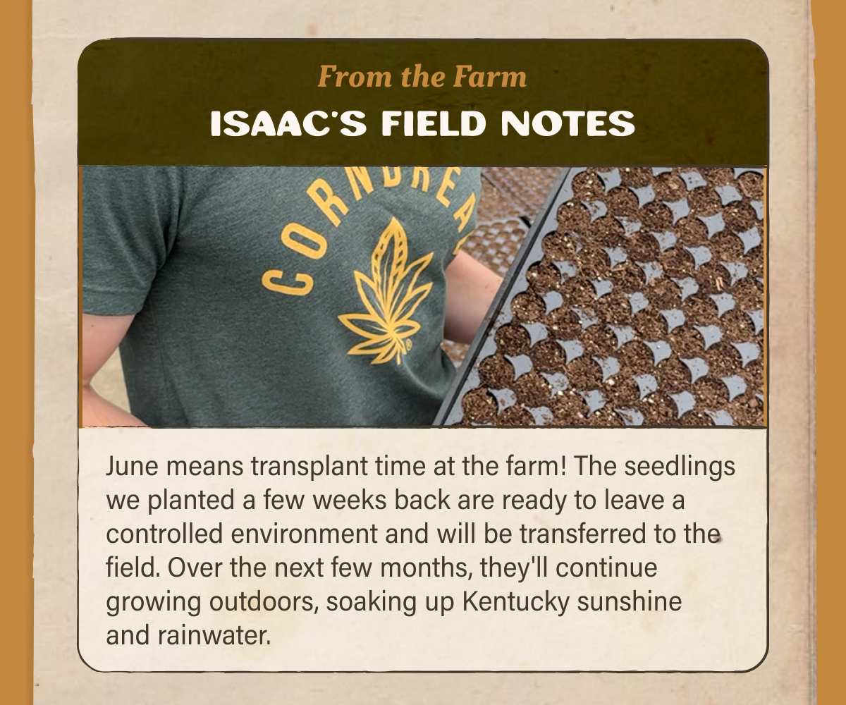 Isaac's Field Notes