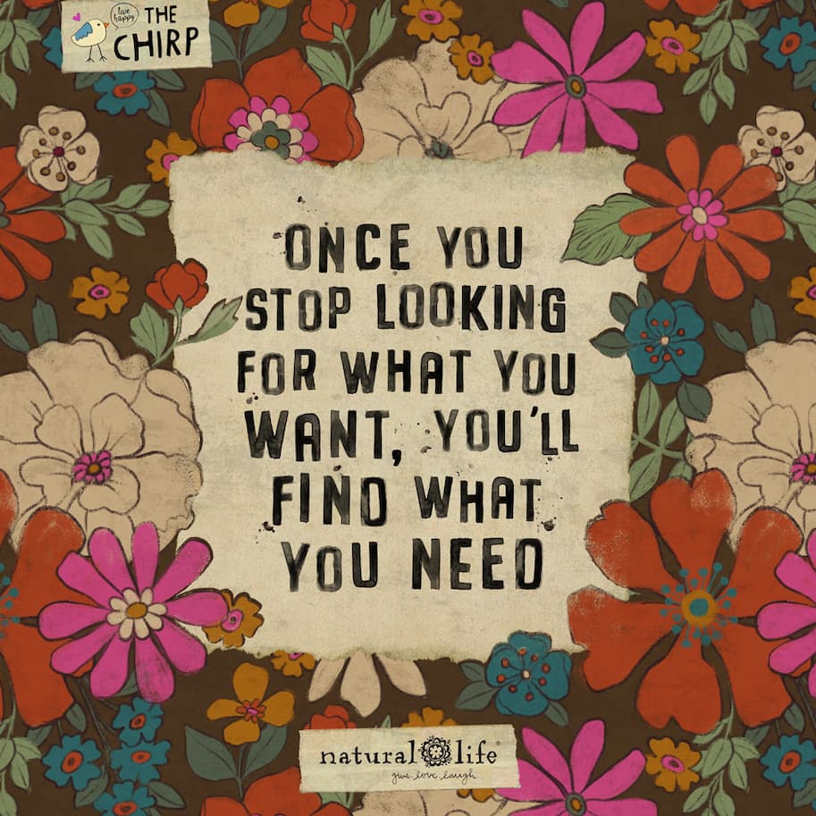 chirp_homepage