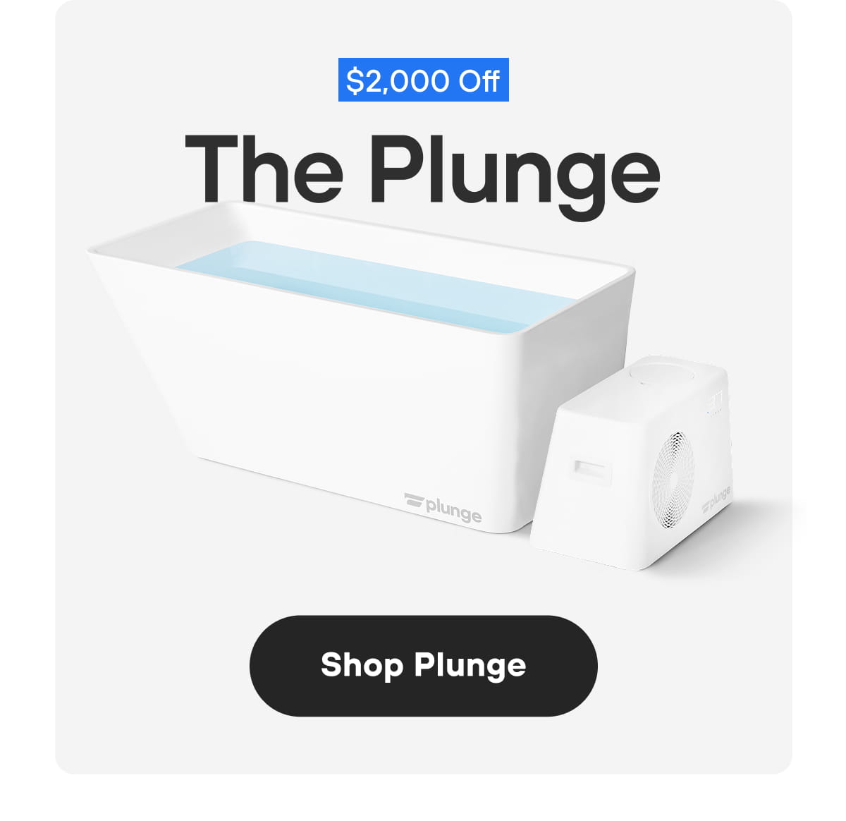 The Plunge | Shop Plunge