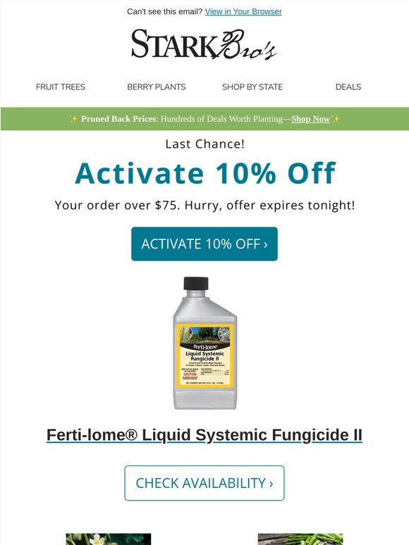 Last Chance! Your 10% is expiring.