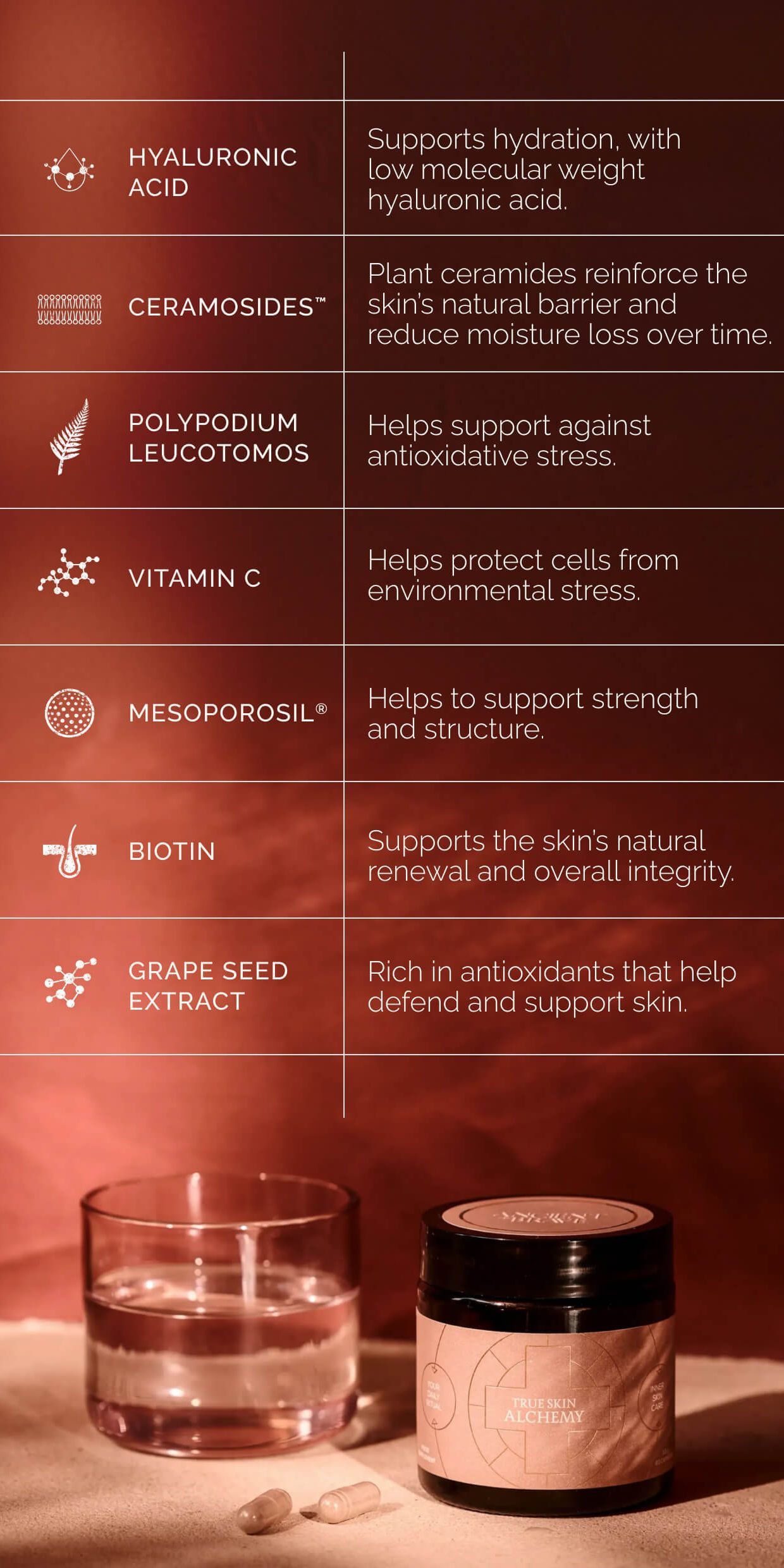 A table showing the 7 unique ingredients found in True Skin Alchemy, including Hyaluronic Acid, Polypodium Leucotomos and Vitamin C
