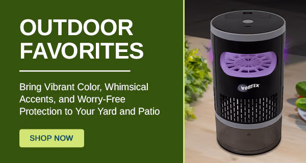Outdoor Favorites