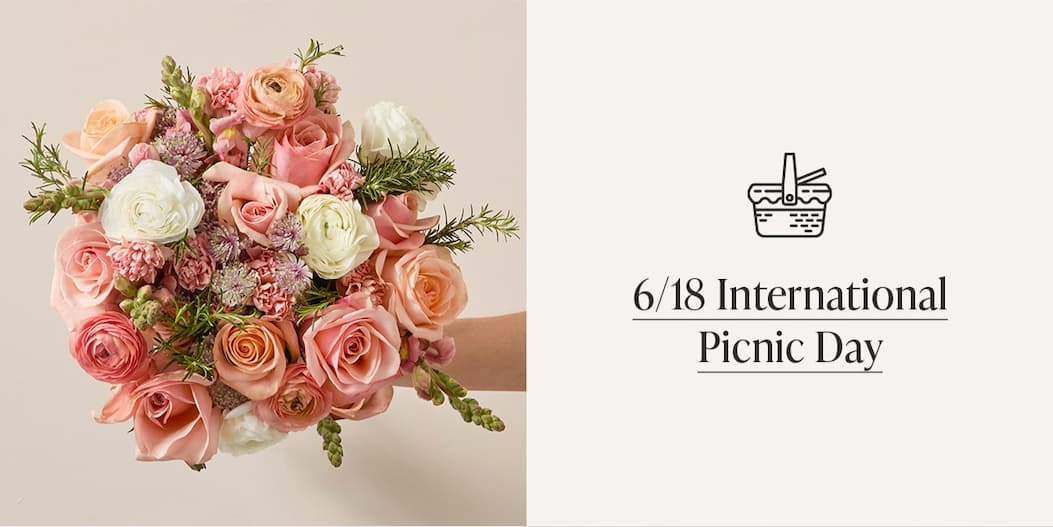 6/18 International Picnic Day