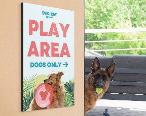 A photo poster sits outside of a dog play area in a pet boarding and grooming business.