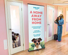 A retractable banner sits in the hallway of a dog boarding and grooming business.