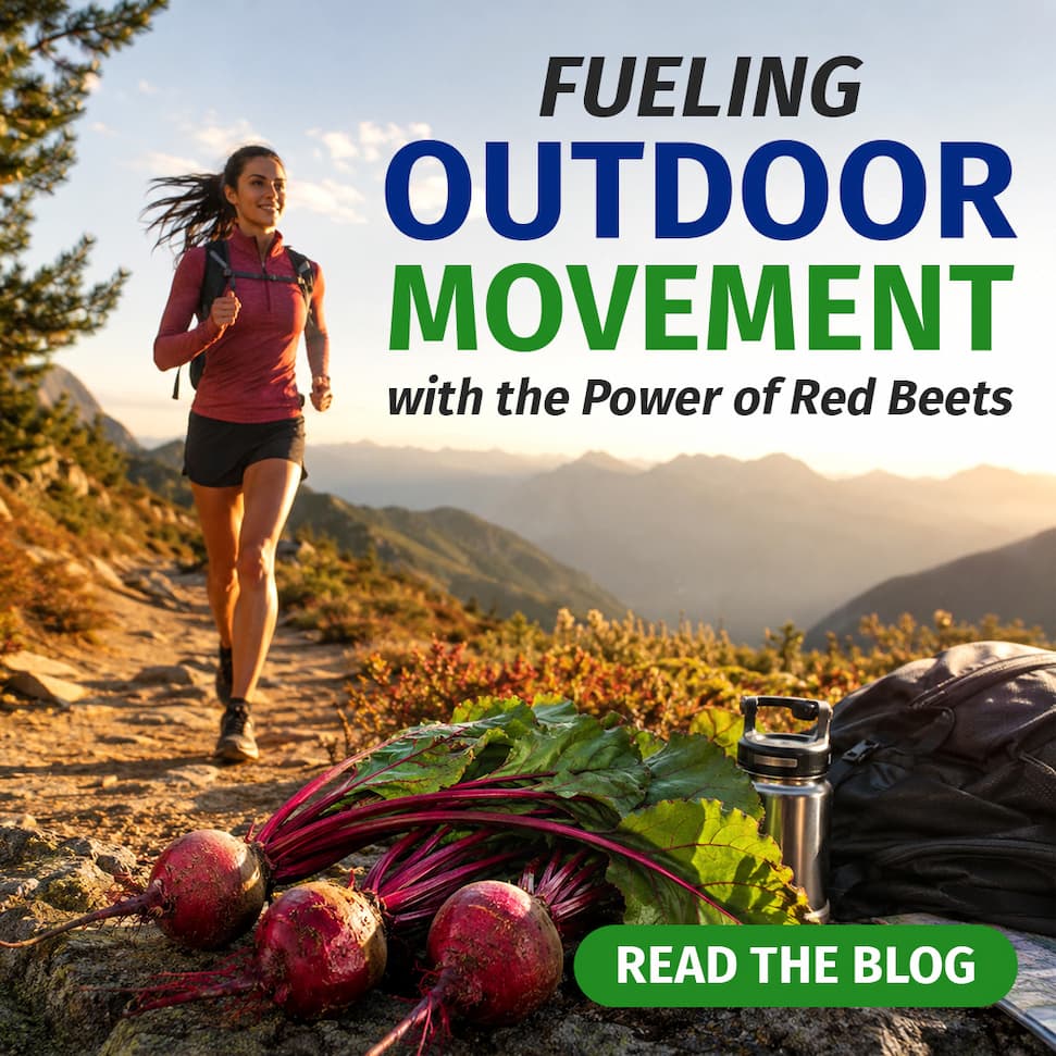 READ THE BLOG