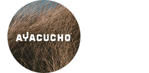 Ayacucho Offers