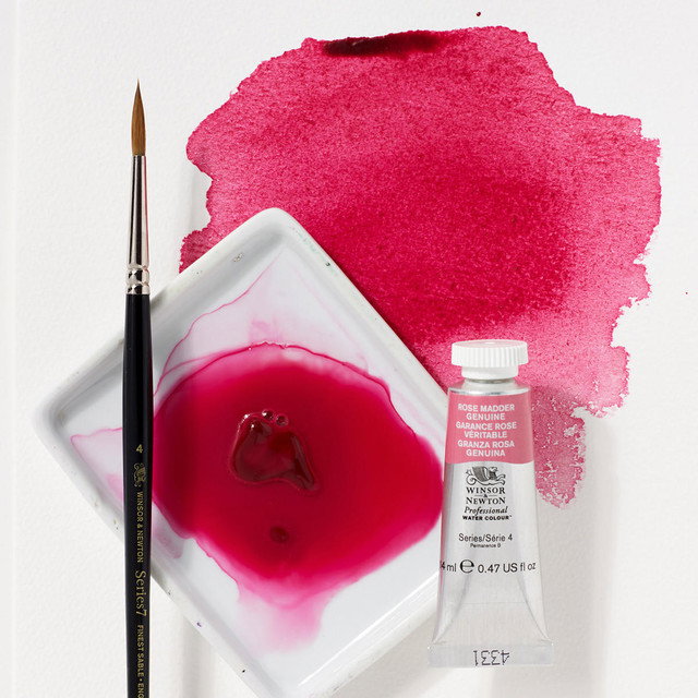 Winsor & newton watercolour paint