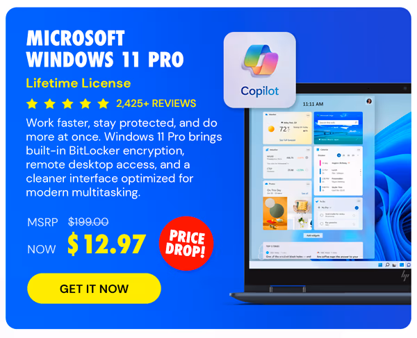 Microsoft Windows 11 Pro