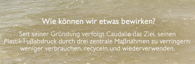 Wie können wir etwas bewirken?