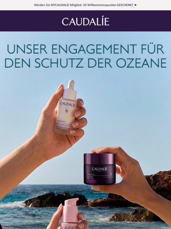 Welttag der Ozeane: Gemeinsam für den Schutz unserer Meere
