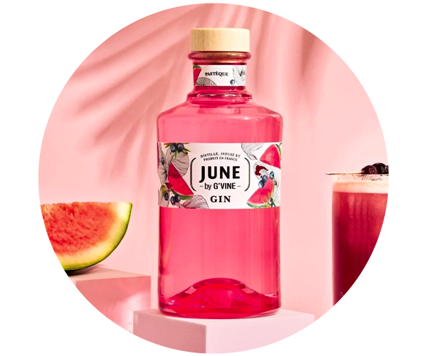 Pink June by G'Vine gin bottle with watermelon illustration, slice and matching pink cocktail on a pastel pink background
