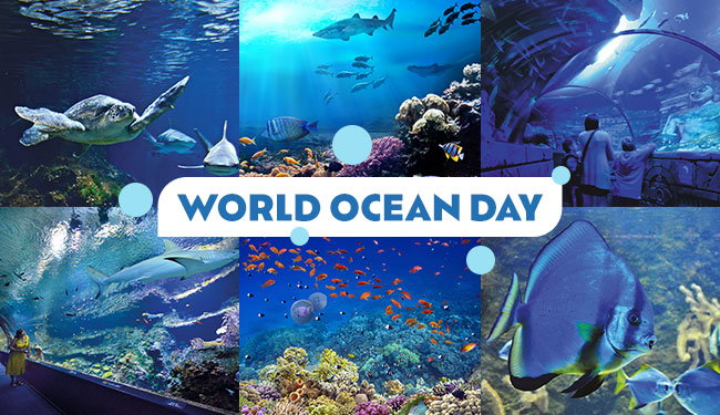 World ocean day