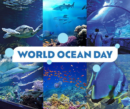 World ocean day