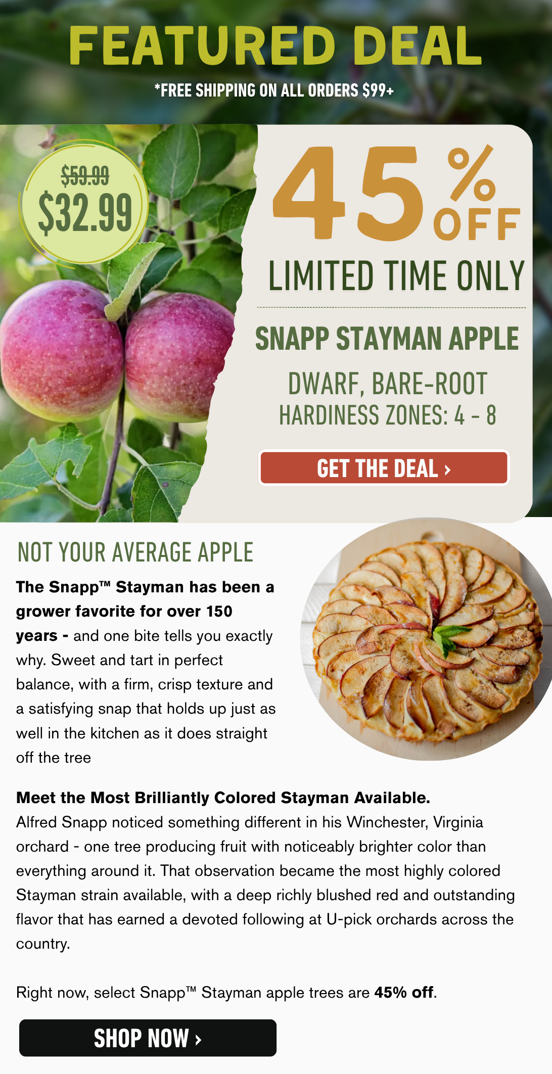 Shop the Deal