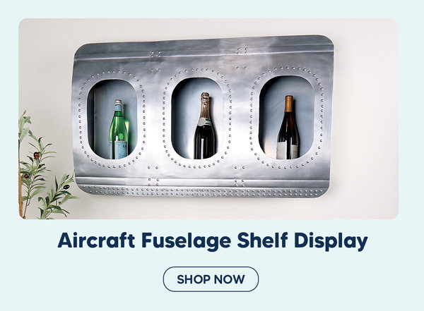 Aircraft Fuselage Shelf Display