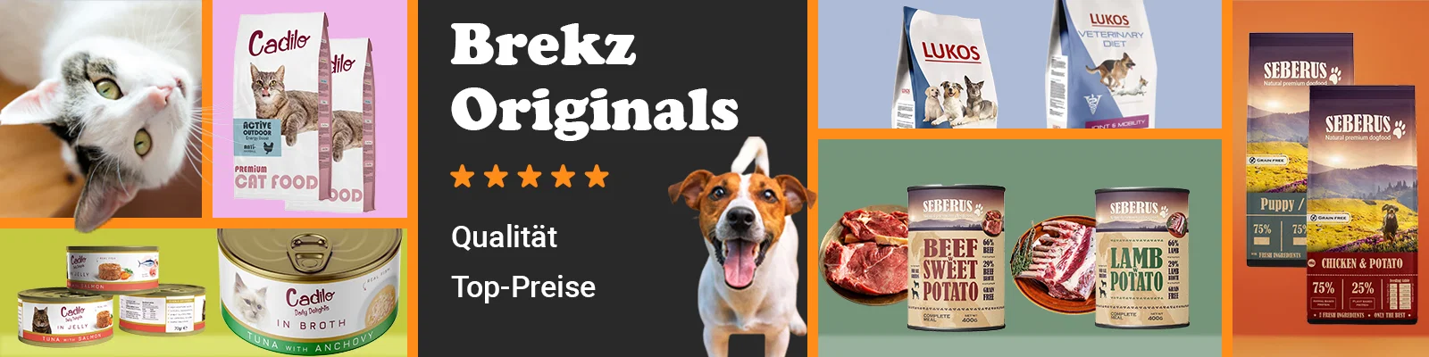 top banner