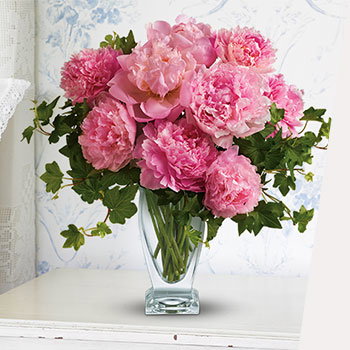 SHOP PRETTY PEONIES