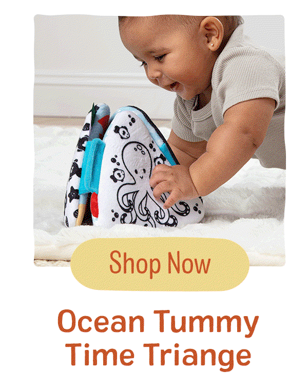 Ocean Tummy Time Triangle Baby Toy