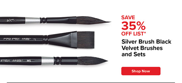 Silver Brush Black Velvet Brushes and Sets