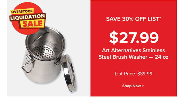 Art Alternatives Stainless Steel Brush Washer - 24 oz
