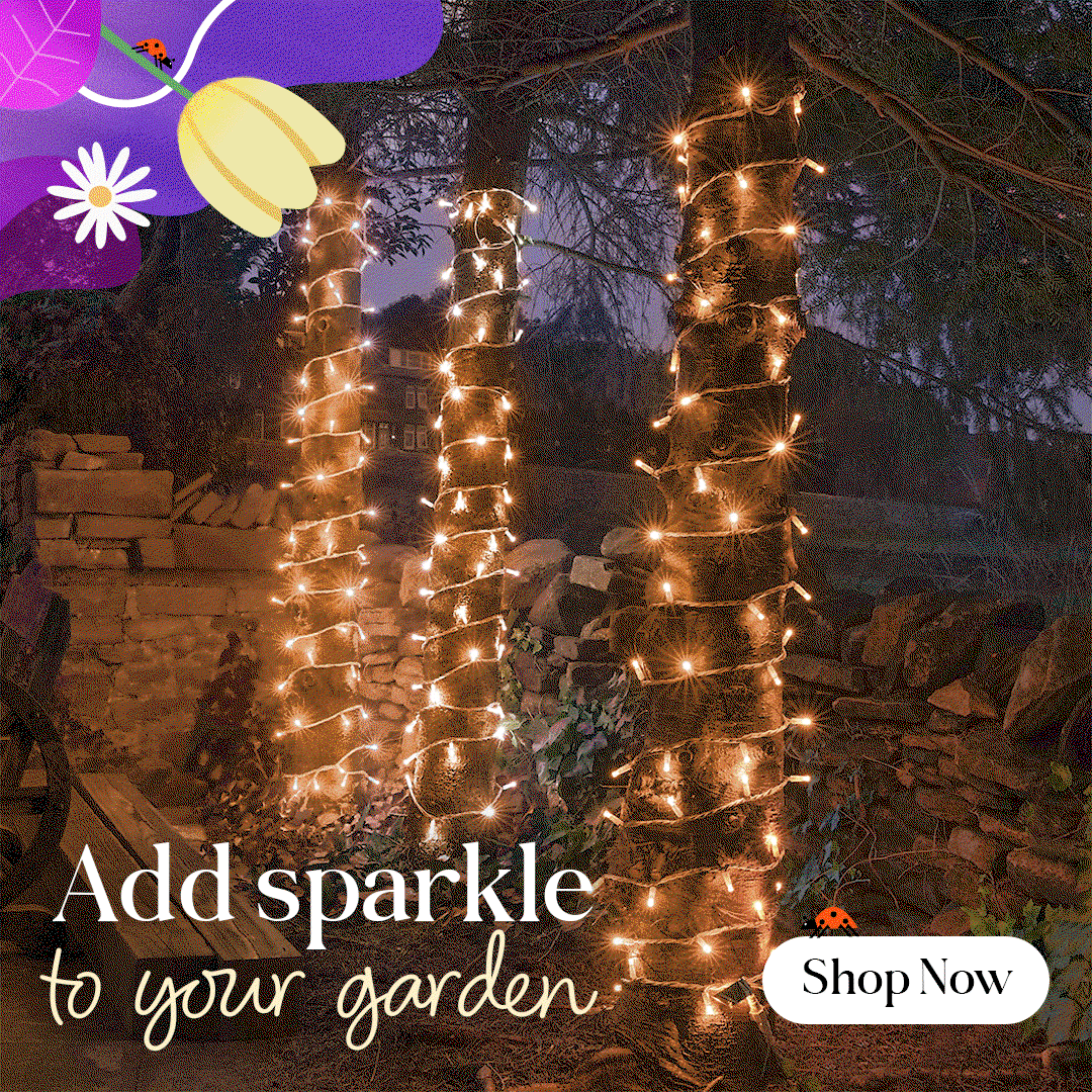 Outdoor Fairy Lights