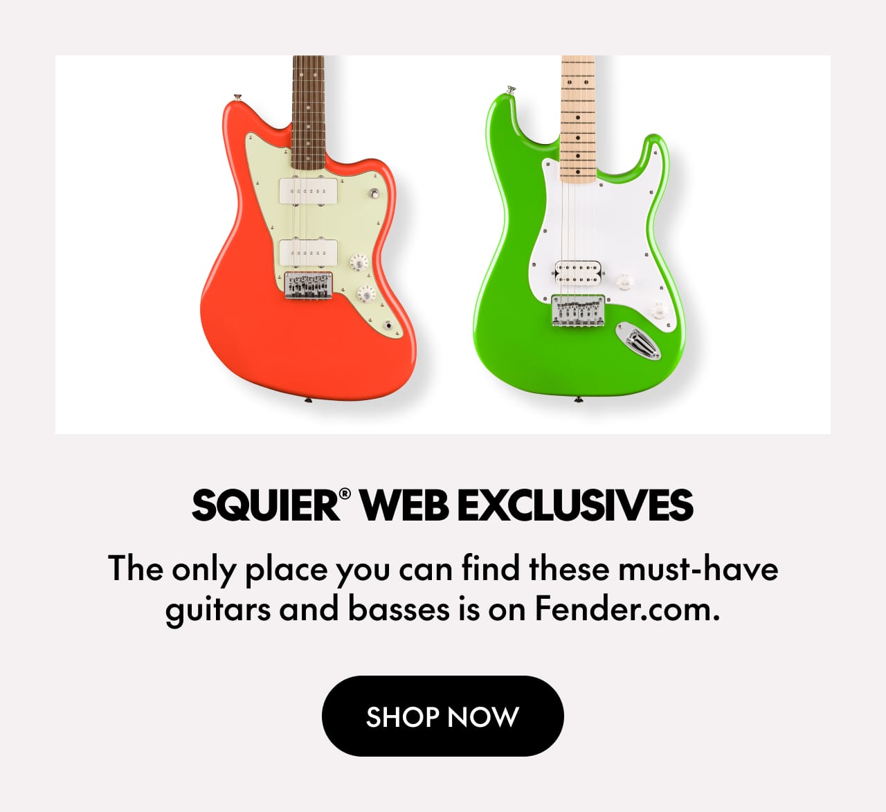 Squier Web Exclusives