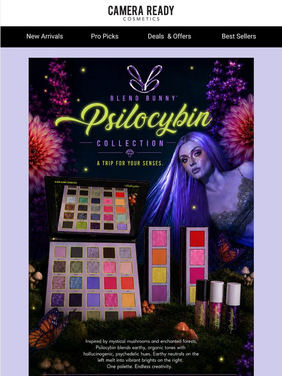 Welcome to the World of Psilocybin 🌿