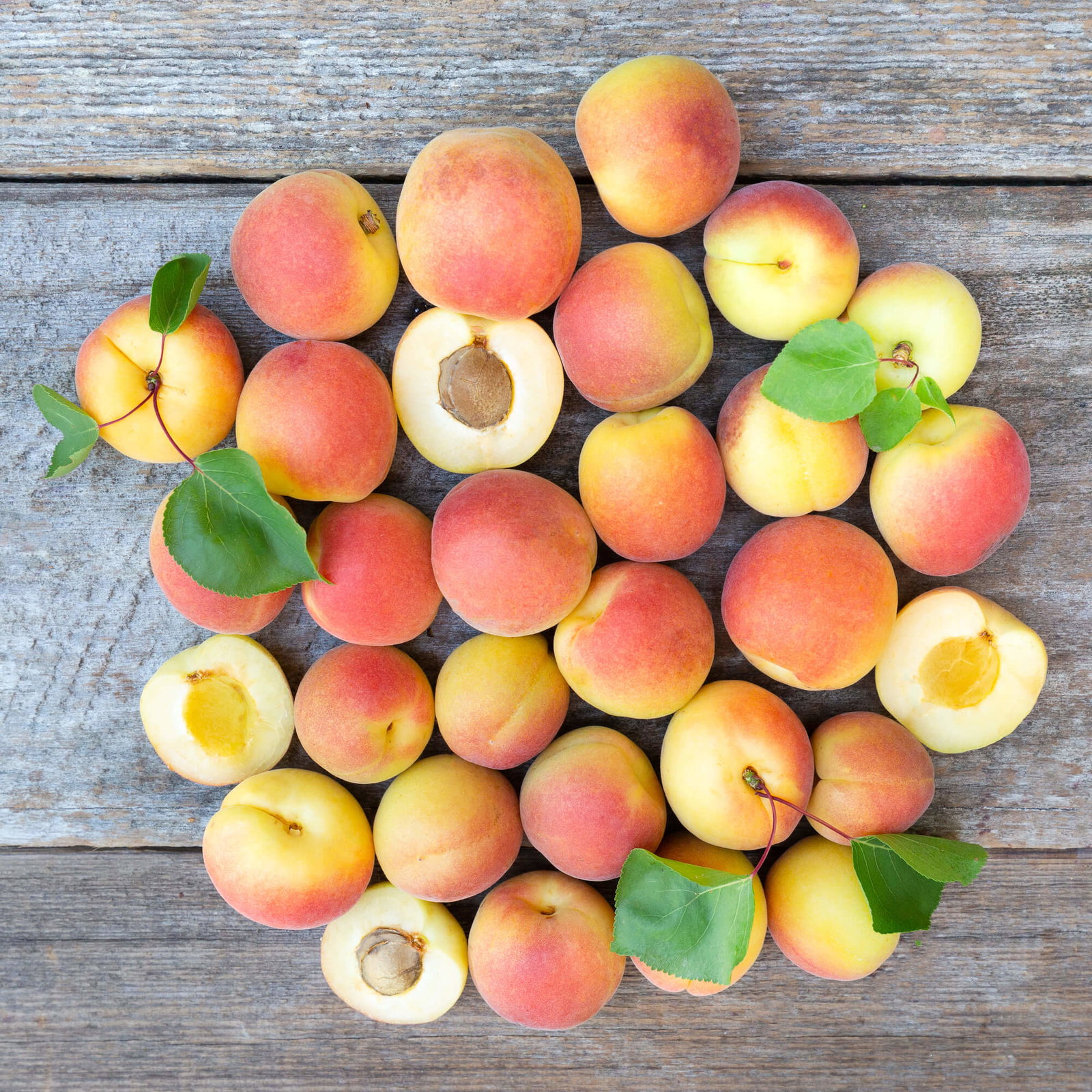 Image of Organic Cot-N-Candy Apriums