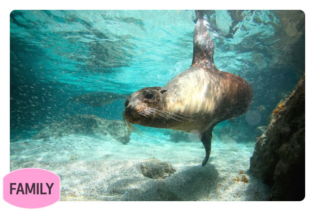 Family fun meets wildlife wonder on this Galapagos Island adventure