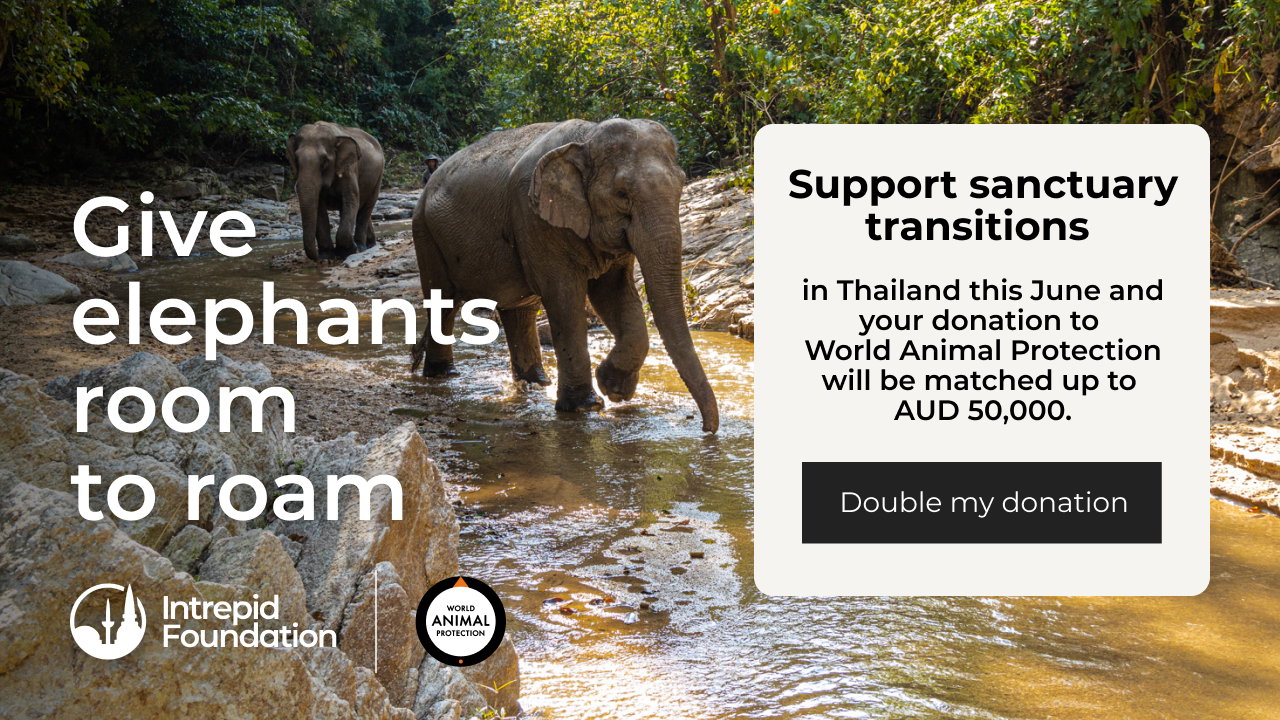 Give elephants room to roam