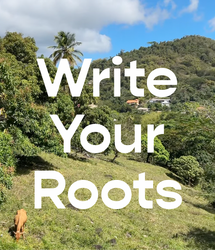 Write Your Roots invite