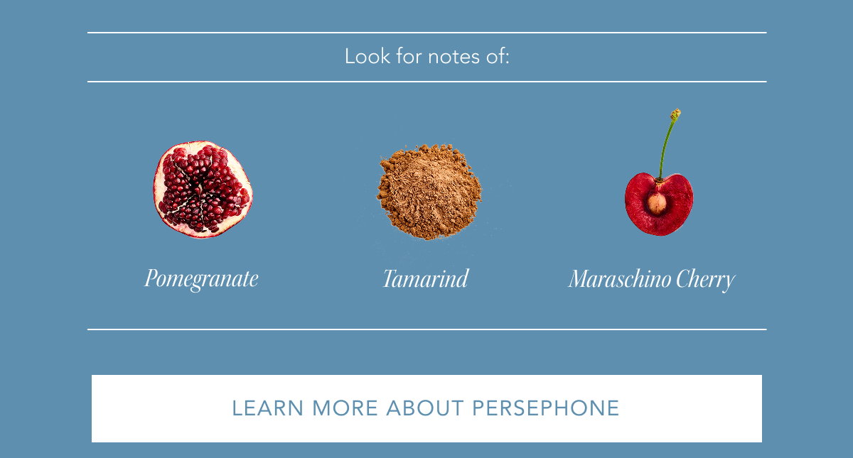 Look for notes of: pomegranate, tamarind, maraschino cherry | LEARN MORE ABOUT PERSEPHONE
