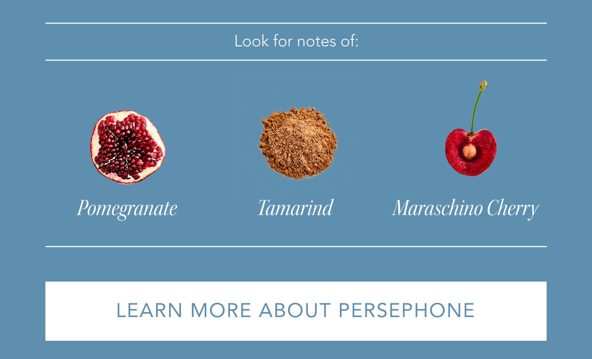 Look for notes of: pomegranate, tamarind, maraschino cherry | LEARN MORE ABOUT PERSEPHONE