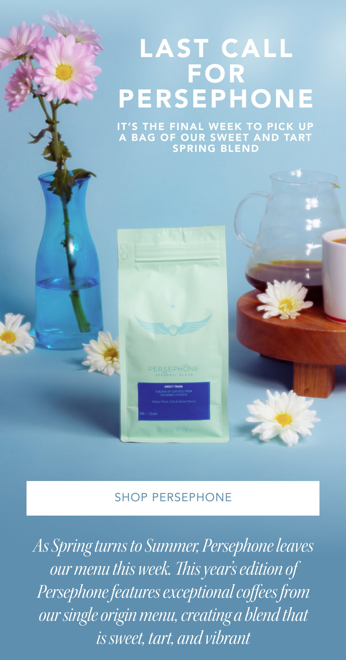 Last Call For Persephone. It’s the final week to pick up a bag of our sweet and tart Spring blend | SHOP PERSEPHONE