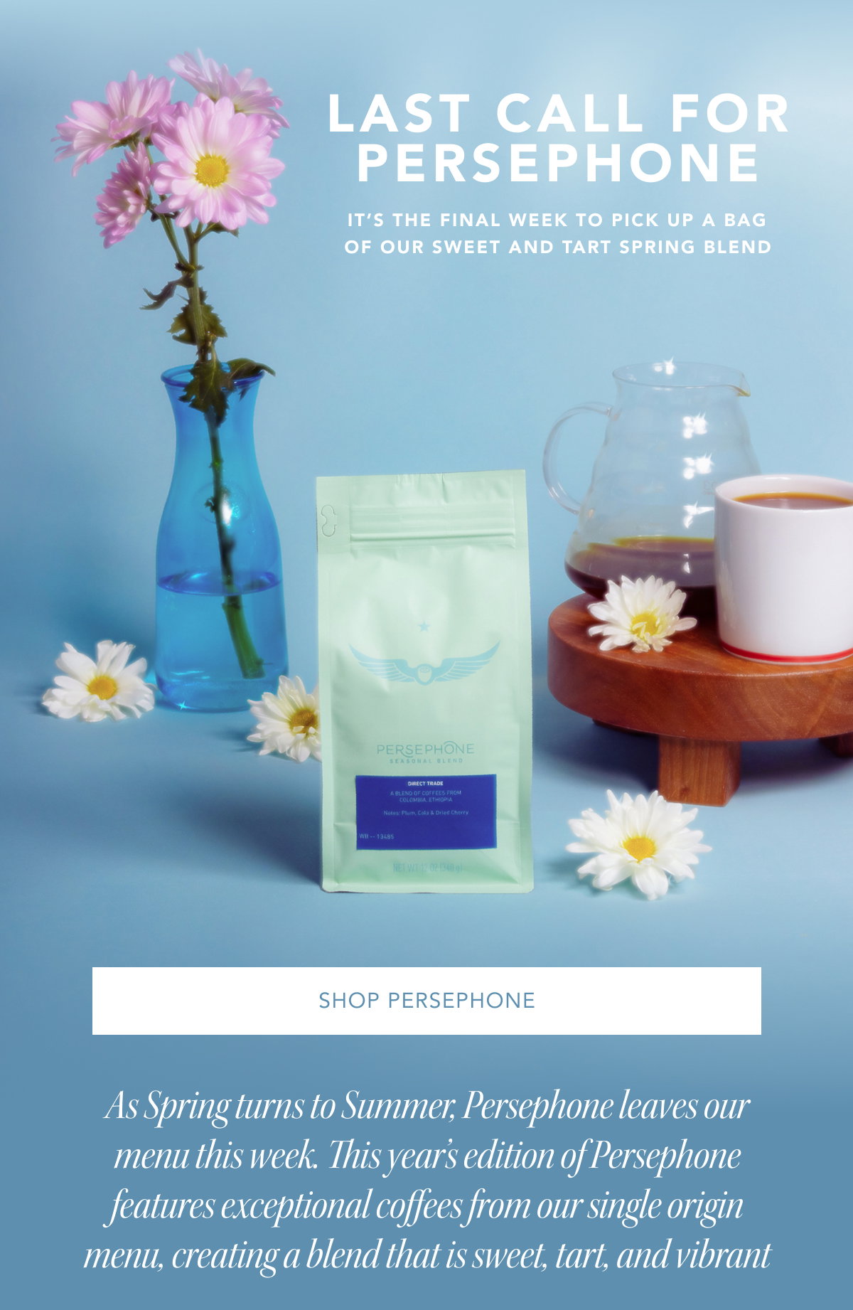 Last Call For Persephone. It’s the final week to pick up a bag of our sweet and tart Spring blend | SHOP PERSEPHONE