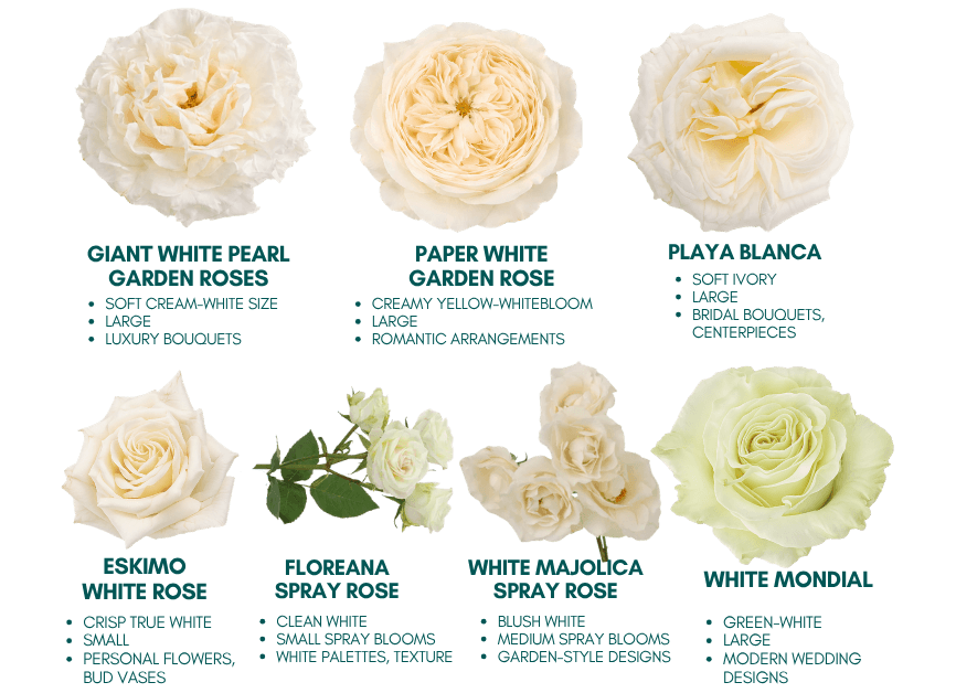 Not All Roses create the Same Look