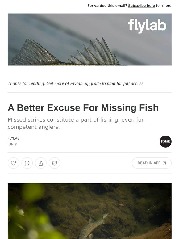 A Better Excuse For Missing Fish