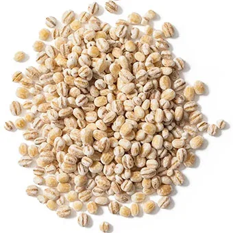 Barley