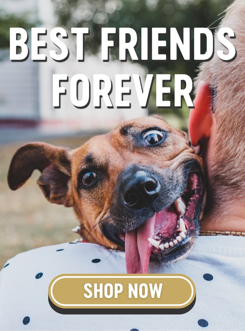 Best Friends Forever!
