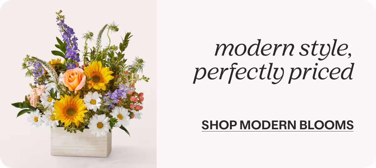 modern style, perfectly priced - SHOP MODERN BLOOMS »