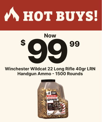 Now $99.99 | Winchester Wildcat 22 Long Rifle 40gr LRN Handgun Ammo - 1500 Rounds