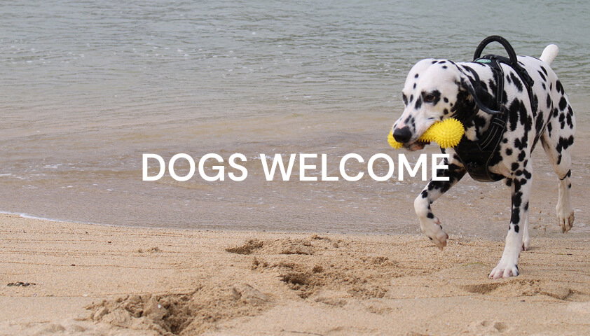 Dogs Welcome
