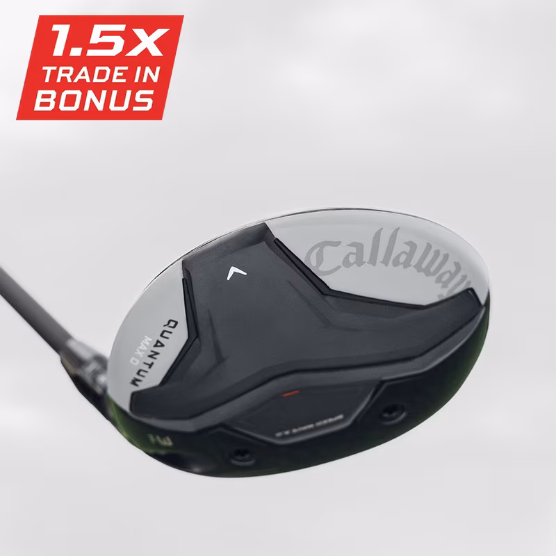 Quantum Max D
