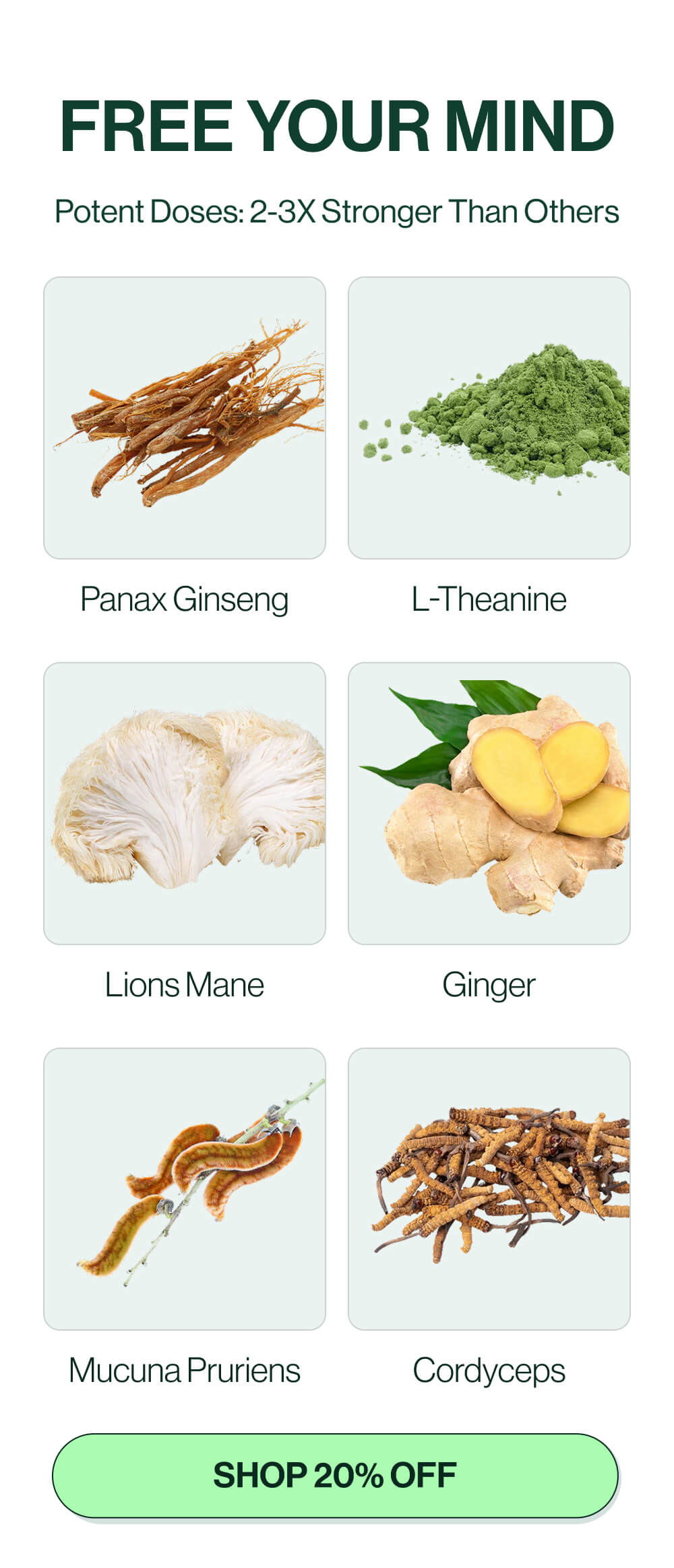 FREE YOUR MIND | Potent Doses: 2-3X Stronger Than Others | Panax Ginseng | L-Theanine | Lions Mane | Ginger | Mucuna Pruriens | Cordyceps | [Shop 20% off] 